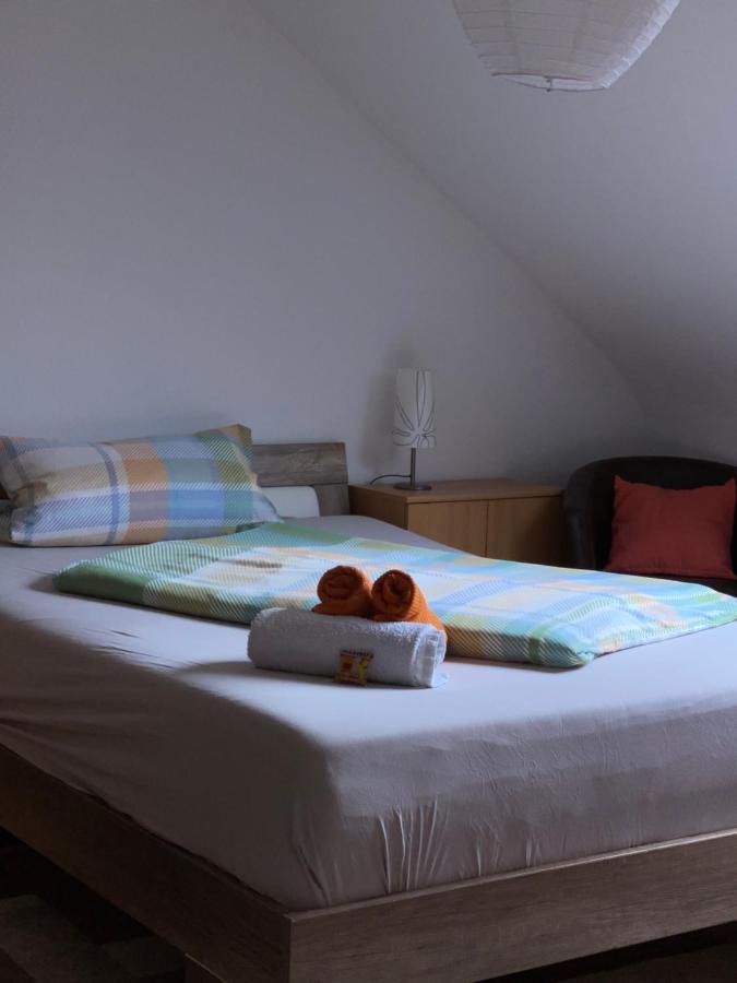 Ferienwohnung Шветцинген Екстер'єр фото